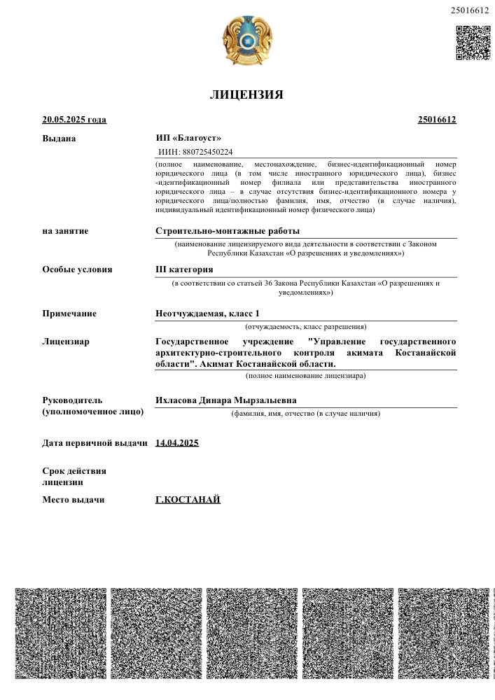 Лицензия — ИП